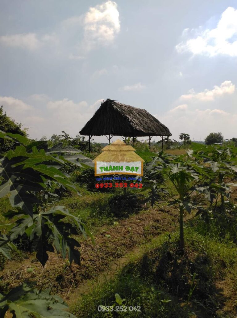 Thi công nhà lá Bình Thuận