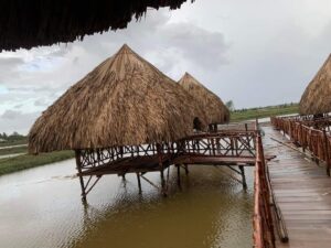 Thi công nhà lá Ninh Thuận