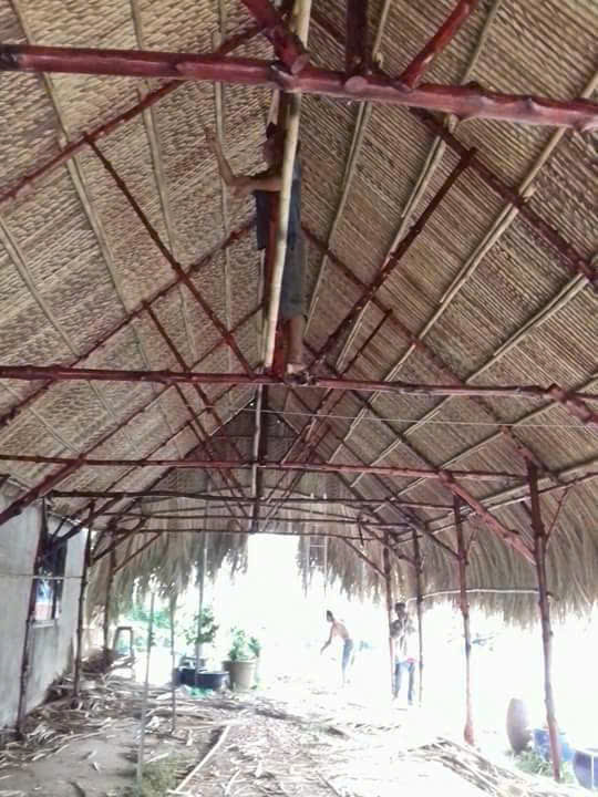 Thi công nhà lá Bình Thuận